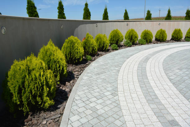 Reasons to Select Us for Your Driveway Paving Requirements in West Fork, AR